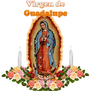 Imágenes de la virgen de Guadalupe con freses 